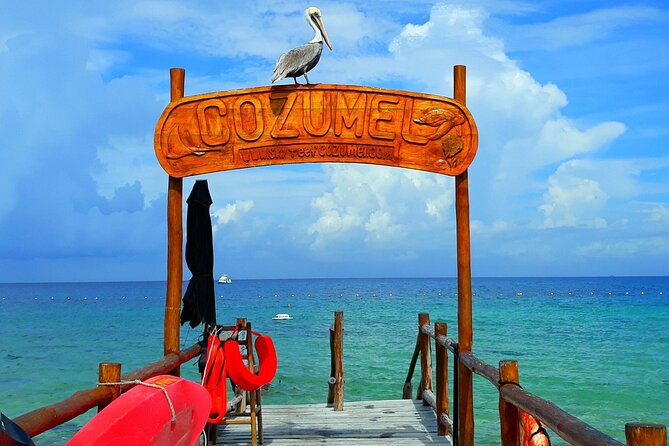 SkyReef Cozumel Snorkel & Tequila Tasting - Service, staff, and the small details that matter
