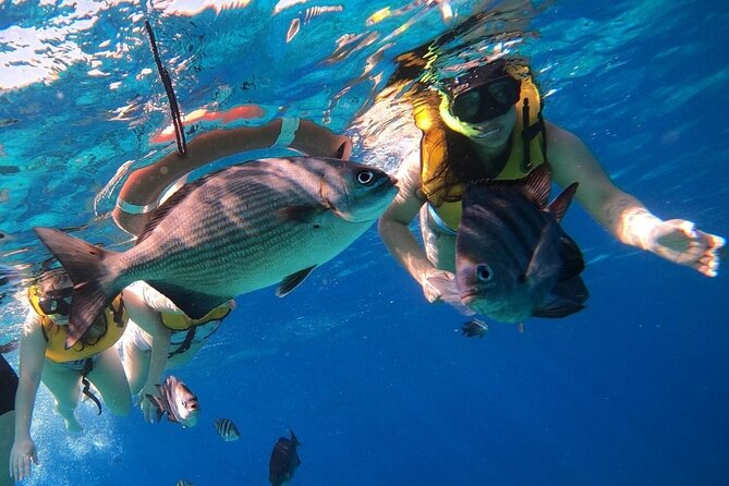 Snorkel along the coast, explore two reefs by Chivis del Mar - Why the small boat changes the day