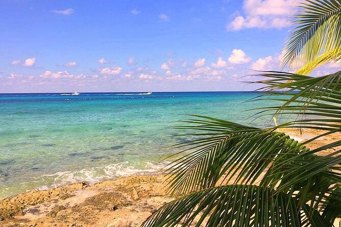 Snorkeling and Beach Club Access in Cozumel with Lunch - Who Will Enjoy This Excursion Most?