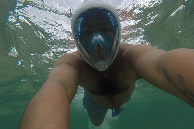 Snorkeling and Beach Club Access in Cozumel with Lunch - A Calm Start for New Snorkelers