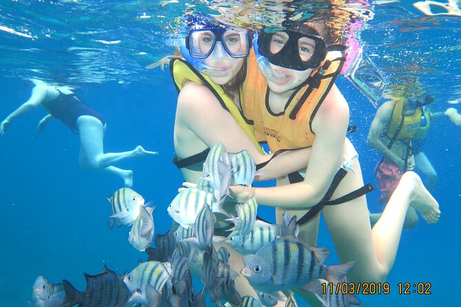 Snorkeling Trip at Cozumel Beach Club with Lunch Included - Cruise-ship passengers need to map the pier carefully