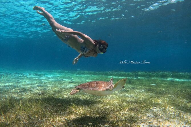 Star and Turtle Sanctuary Snorkeling Tour in Cozumel - Sun, clothing, and comfort