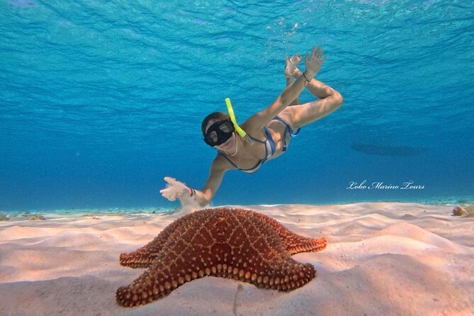 Star and Turtle Sanctuary Snorkeling Tour in Cozumel - Sky is the final rest stop