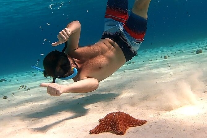 Starfish, Stingrays and the Turtle Sanctuary Snorkel Tour - El Cielo, where the water turns into an aquarium