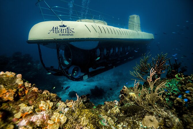 Submarine Atlantis Cozumel Adventure by Day & Sunset - Safety, weather, and cancellation risks