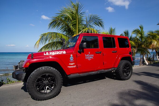 Super Cozumel Combo Snorkel by Boat and Jeep Exploration (Private) - El Mirador and the best photo stop