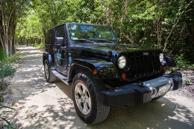Super Cozumel Combo Snorkel by Boat and Jeep Exploration (Private) - Tequila tasting with a sales element