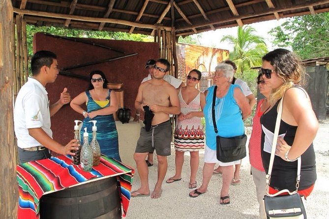 Tequila History and Tasting Experience and Unlimited Beach Break - Key points to know before booking