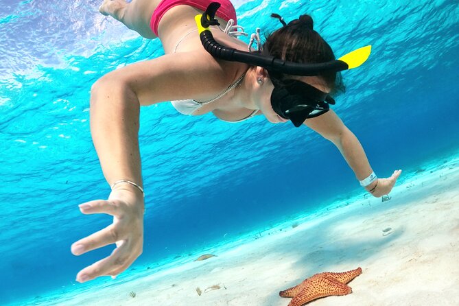The Cozumel Turtle Sanctuary Snorkel Tour - What this Cozumel snorkel trip really offers