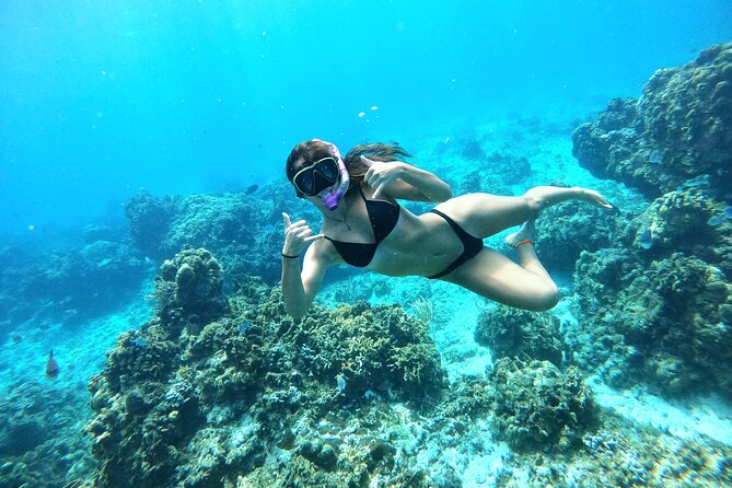The Cozumel Turtle Sanctuary Snorkel Tour - Cielito sandbar, ceviche, and time in the water