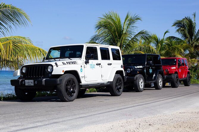 The Original Jeep Tour Revamped by Tortugas Cozumel® (Private) - What to expect at Tortugas Beach Club