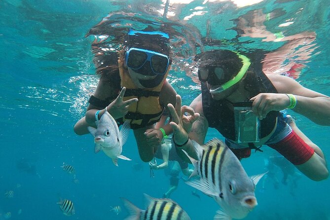 The Perfect Day in Chankanaab Park Cozumel - Why Chankanaab works so well for a short Cozumel day