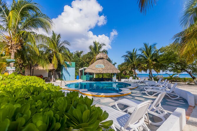 Tikinxic Barefoot Fish Guided Cookout Experience in Cozumel - How this compares with a standard beach day