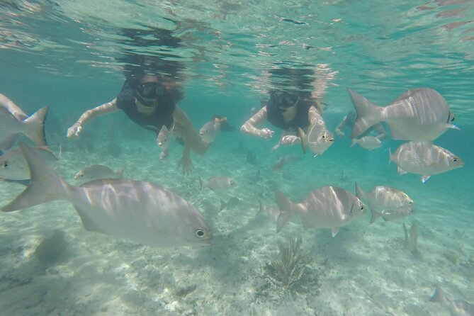 Tour in Buggy Cedral History Snorkeling and Lunch in Cozumel - FAQ