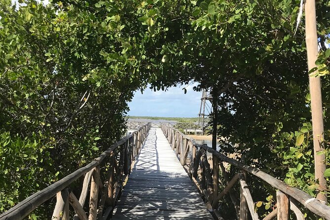 Tour to Cozumel Eco Nature Escape and Otoch Mayan Experience - The Celarain Lighthouse and the choice to climb