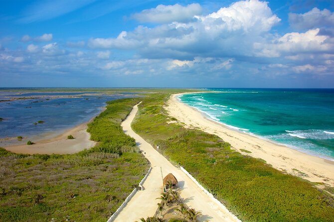 Tours along the beaches of Cozumel Mexico by buggy all inclusive - Why a Cozumel buggy is a smart way to see the island