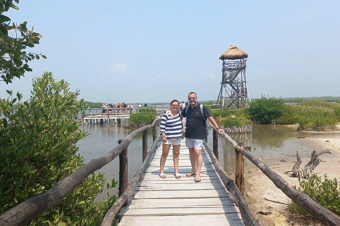 Tours along the beaches of Cozumel Mexico by buggy all inclusive - Timing, comfort, and small practical points