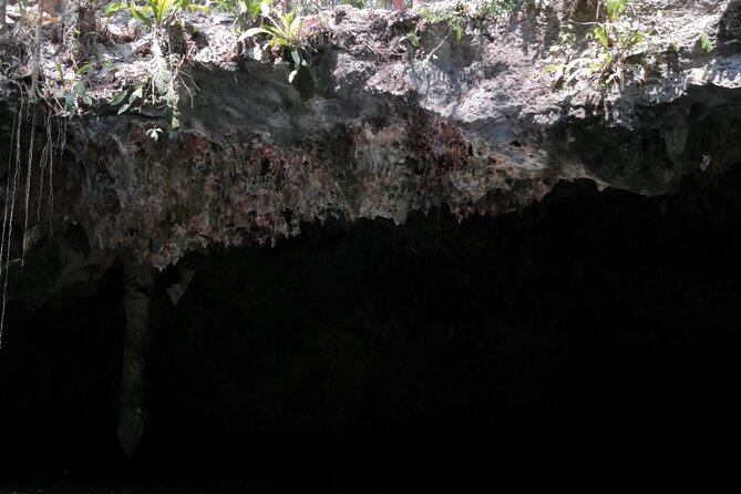 Tours On The Island Cozumel - Beach time, snorkeling, and the meal question