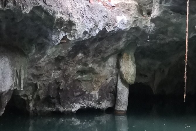 Tours On The Island Cozumel - Timing, pickup, and private transportation