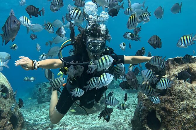 Try diving without previous experience from shore - Comfort, safety, and the 12-meter limit