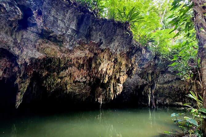 Wild Jade Cavern ATV Tour With Transfer - The cenote stop rewards adventurous swimmers